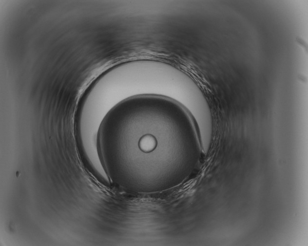 X0000091000244200708301341