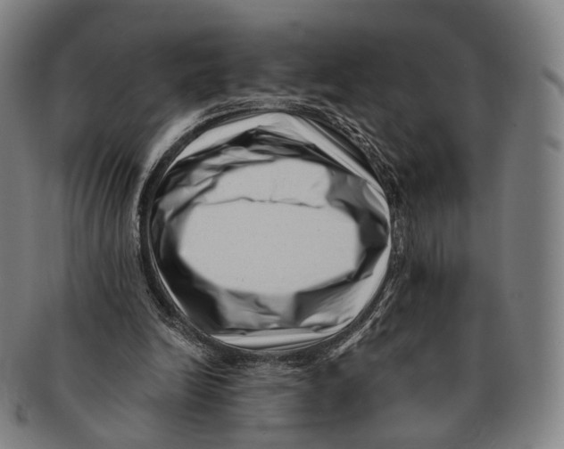 X0000091000246200708301341