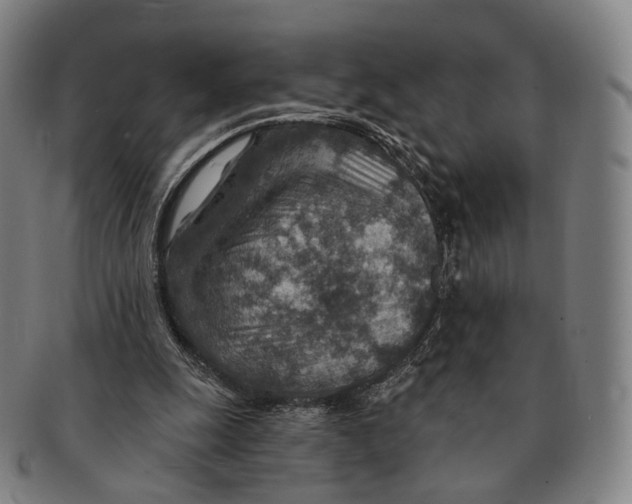X0000091000247200708301341