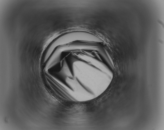 X0000091000248200708301341