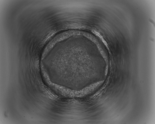 X0000091000249200708301341