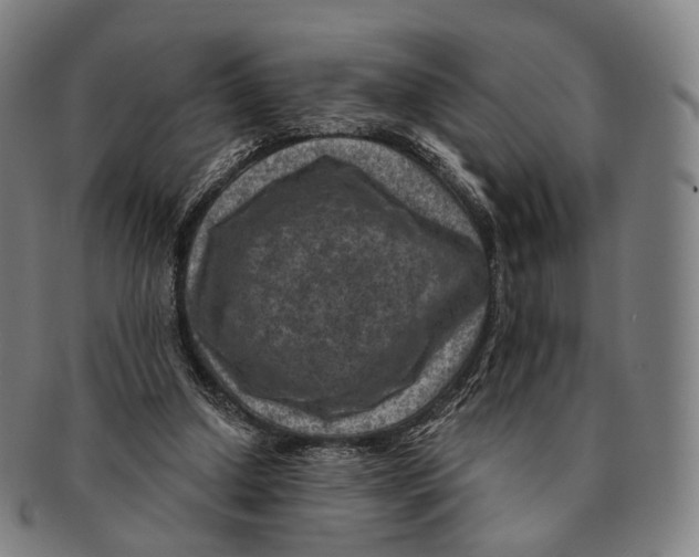X0000091000250200708301341
