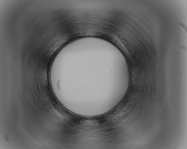X0000091000251200708301341
