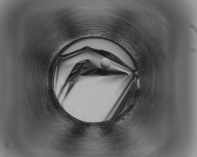 X0000091000252200708301341