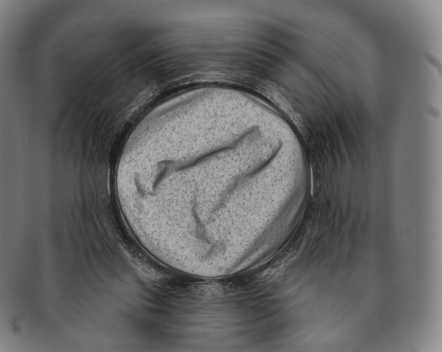 X0000091000253200708301341