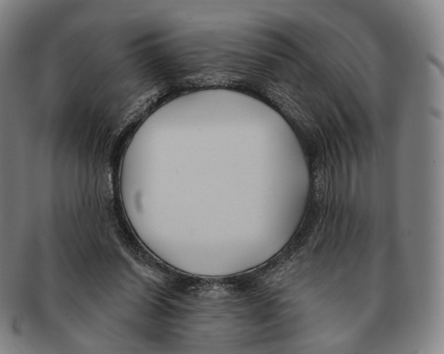 X0000091000254200708301341