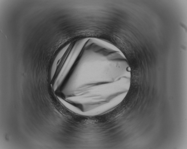 X0000091000255200708301341