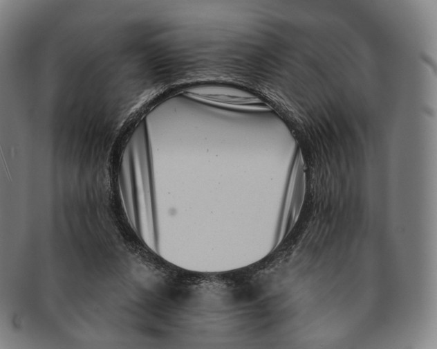 X0000091000256200708301341