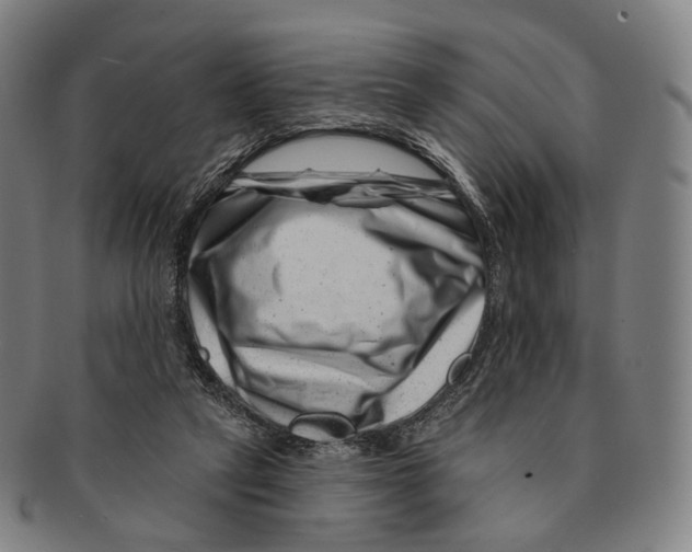 X0000091000257200708301341