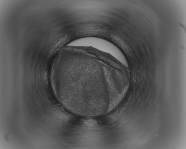 X0000091000258200708301341