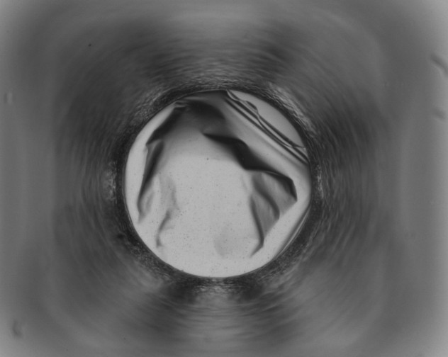 X0000091000259200708301341