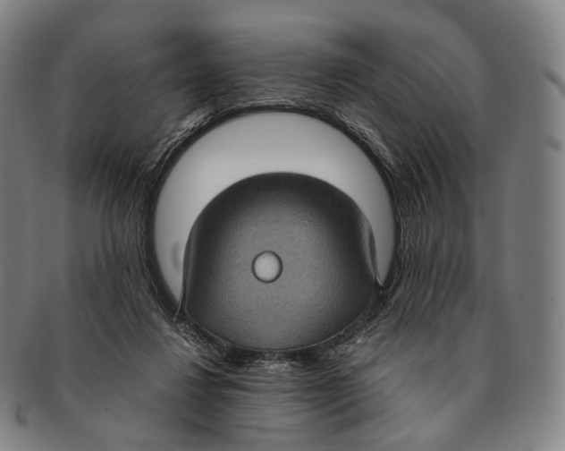 X0000091000260200708301341