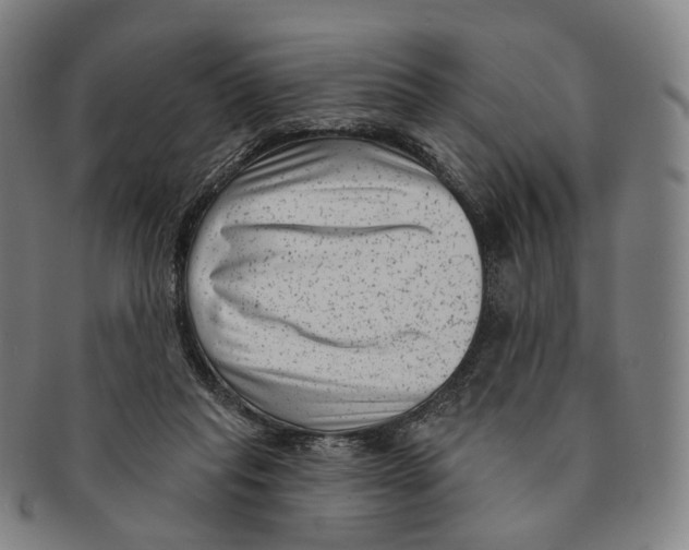 X0000091000261200708301341