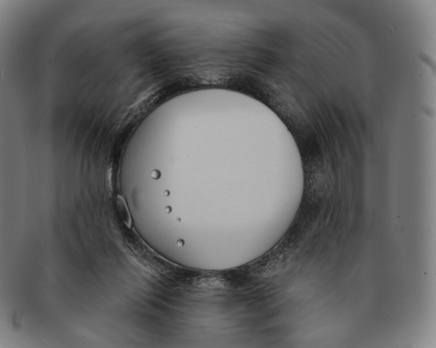 X0000091000262200708301341