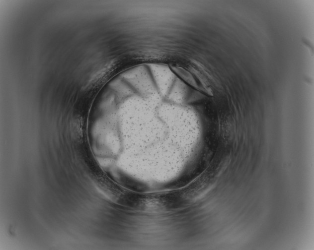 X0000091000264200708301341