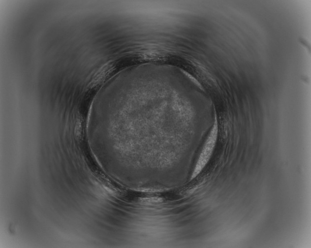 X0000091000266200708301341