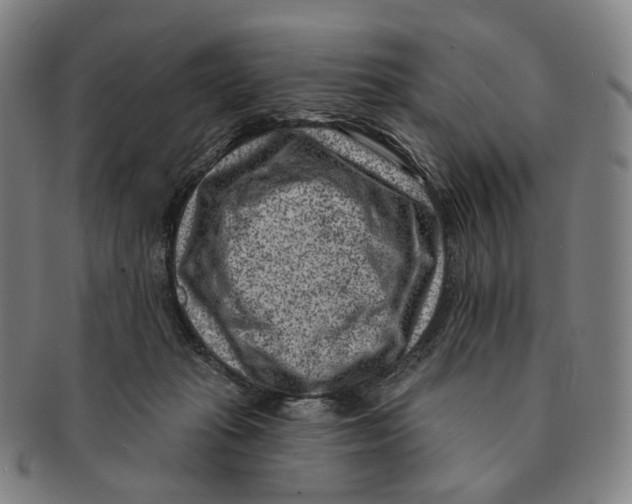 X0000091000269200708301341