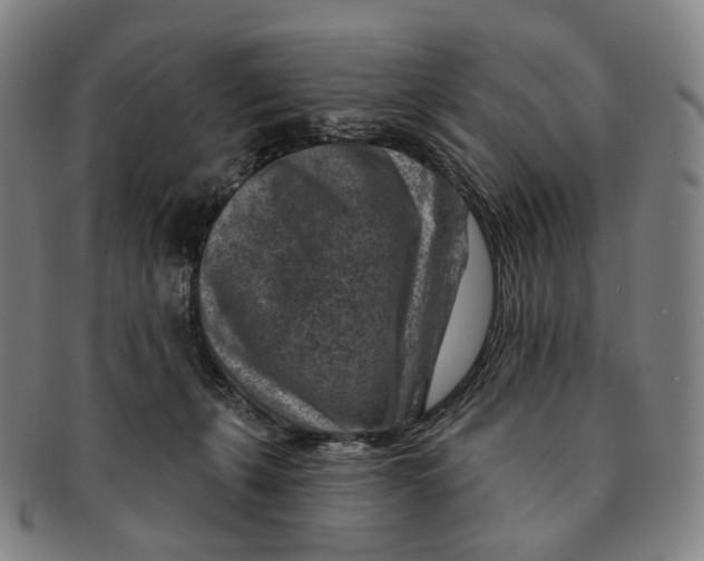 X0000091000271200708301341