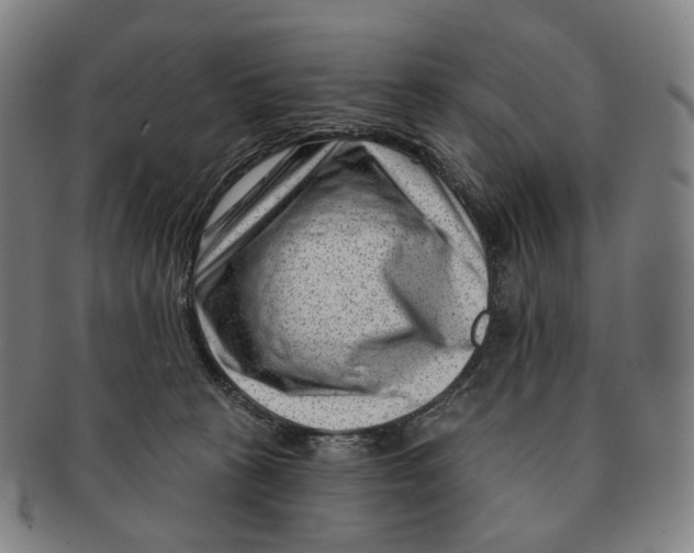X0000091000273200708301341