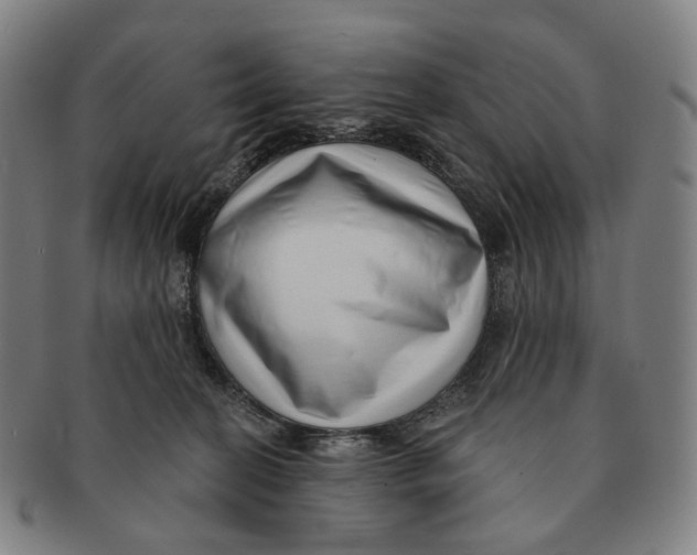 X0000091000274200708301341