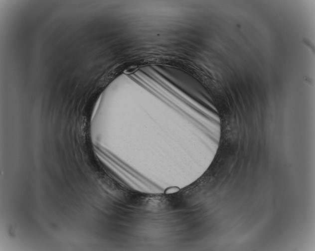 X0000091000275200708301341