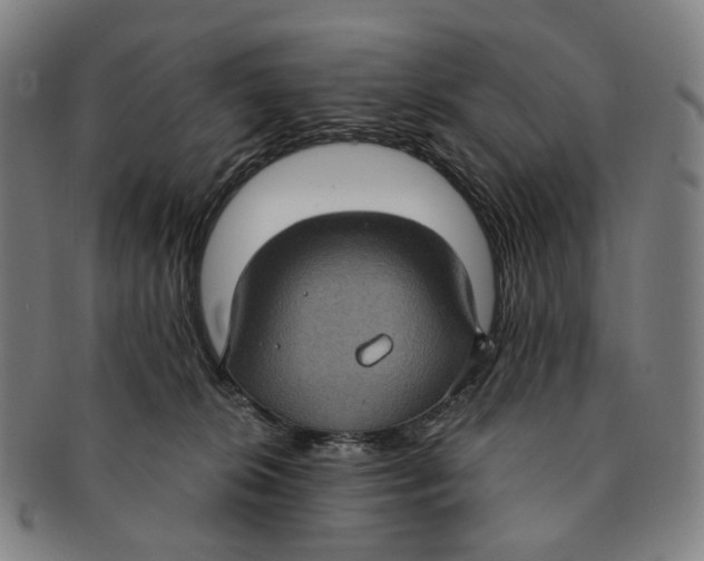 X0000091000276200708301341
