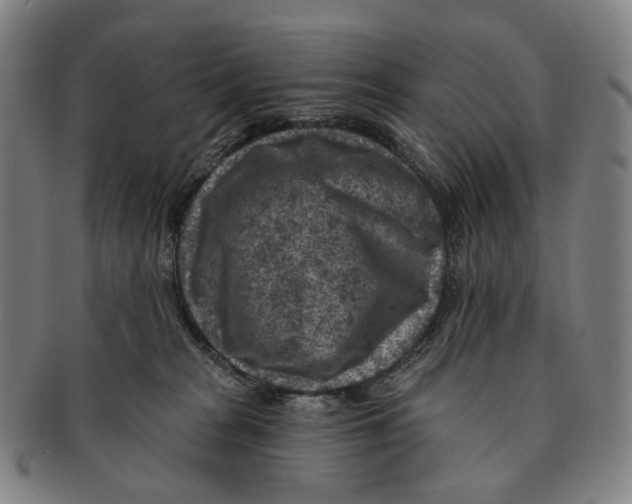 X0000091000277200708301341