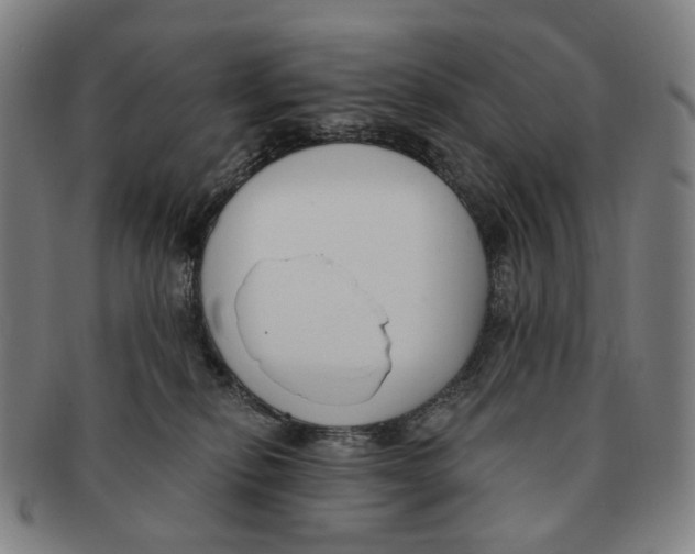 X0000091000278200708301341