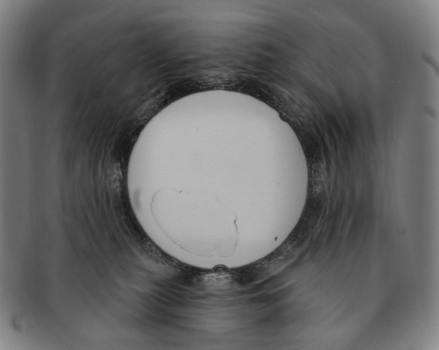 X0000091000279200708301341