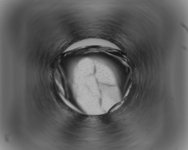 X0000091000280200708301341
