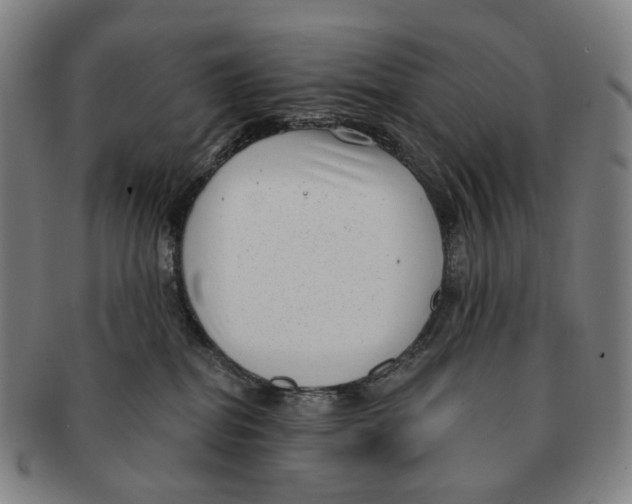 X0000091000282200708301341