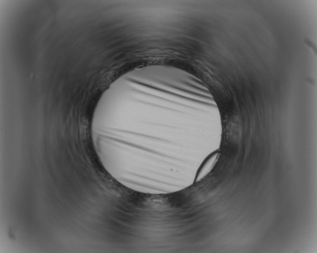 X0000091000283200708301341