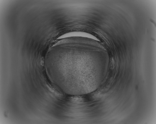 X0000091000284200708301341