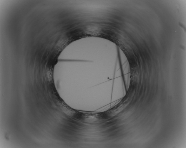 X0000091000285200708301341