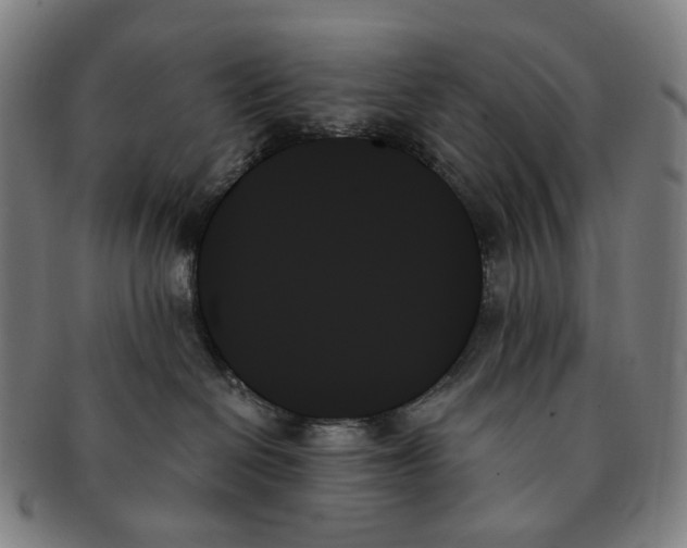 X0000091000286200708301341