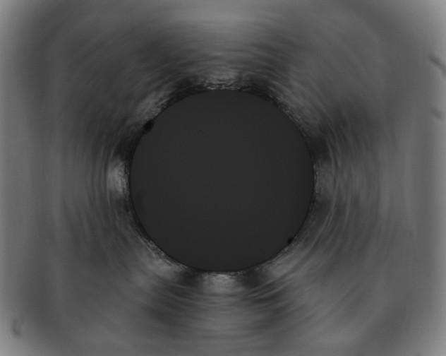 X0000091000287200708301341
