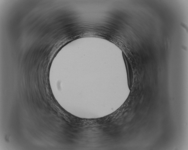 X0000091000289200708301341