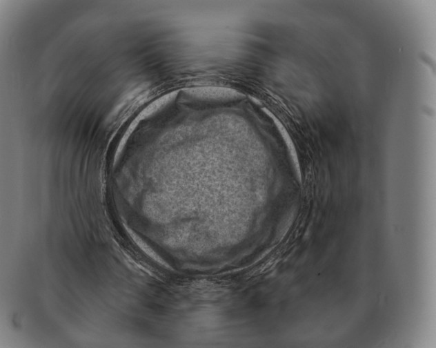X0000091000290200708301341
