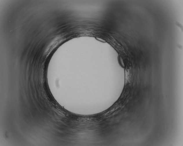 X0000091000291200708301341