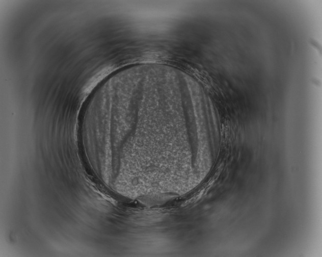 X0000091000292200708301341