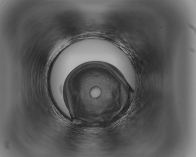 X0000091000293200708301341