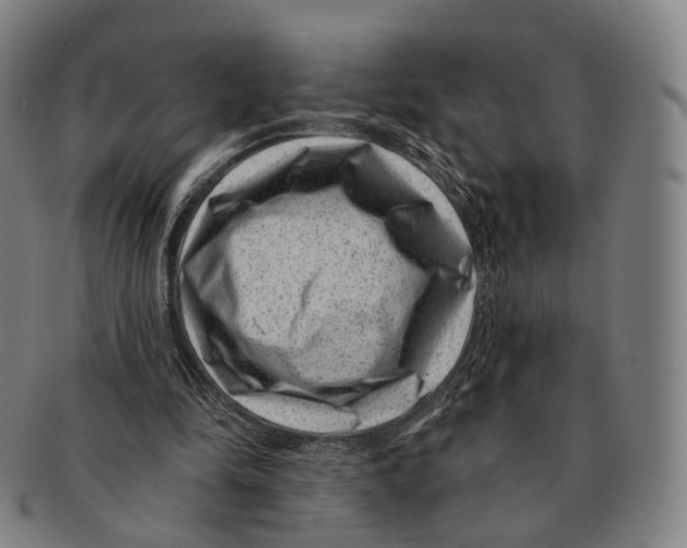 X0000091000294200708301341