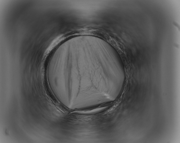 X0000091000295200708301341