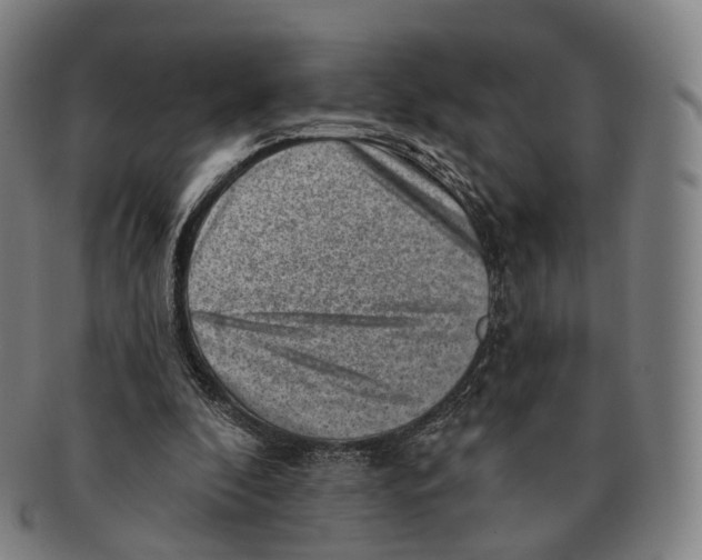 X0000091000296200708301341