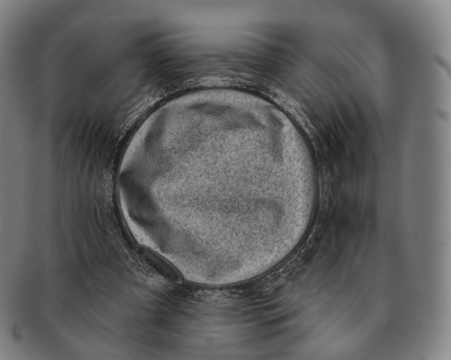 X0000091000297200708301341