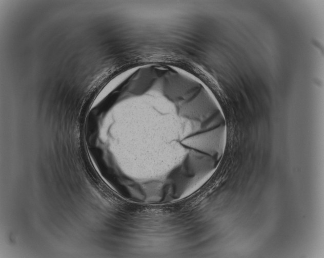 X0000091000298200708301341