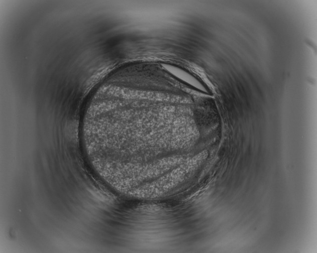X0000091000299200708301340