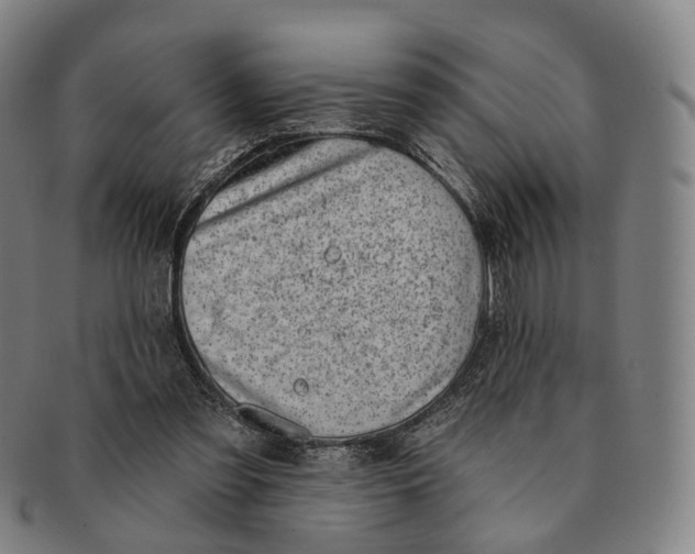 X0000091000301200708301340