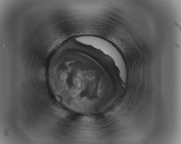 X0000091000303200708301340