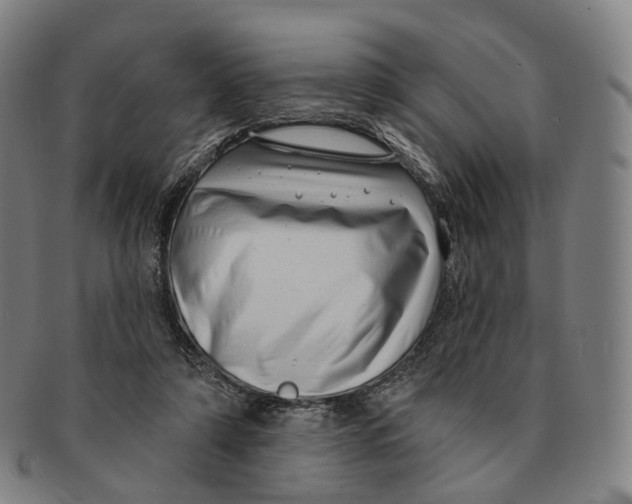 X0000091000306200708301340